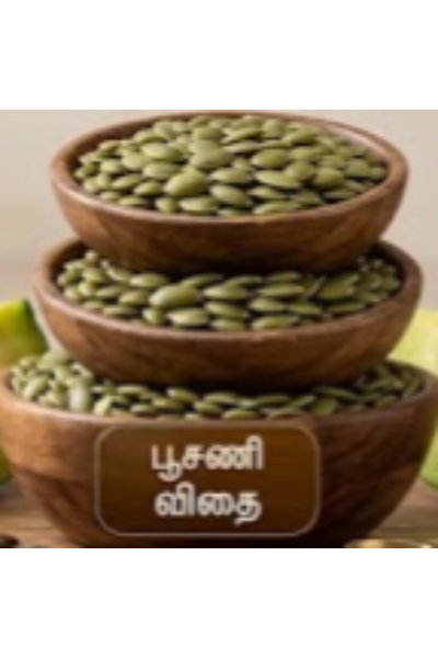 பூசணி விதை