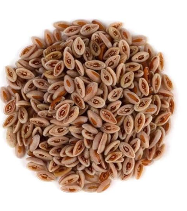 Isabgol Beej - Psyllium Seeds - Edible Isabgol Seeds - Plantago Ovata (200 gm)
